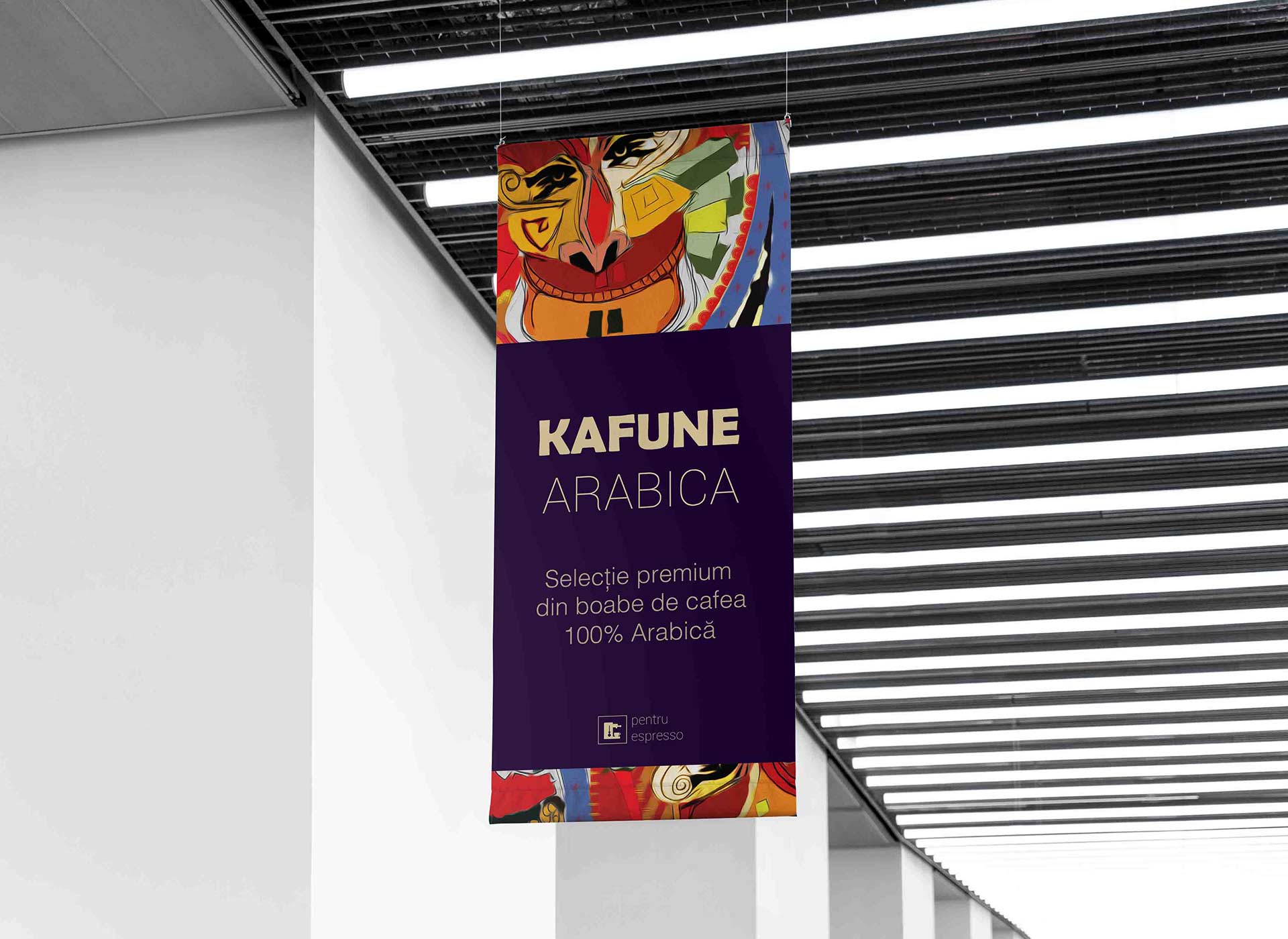 kafune portfolio inoveo roll-up
