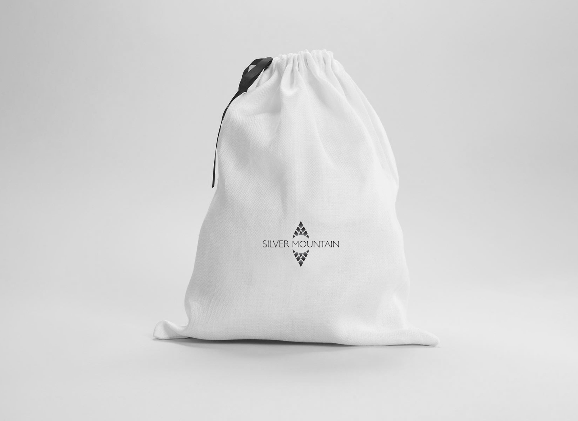 Silver Mountain portfolio inoveo bag