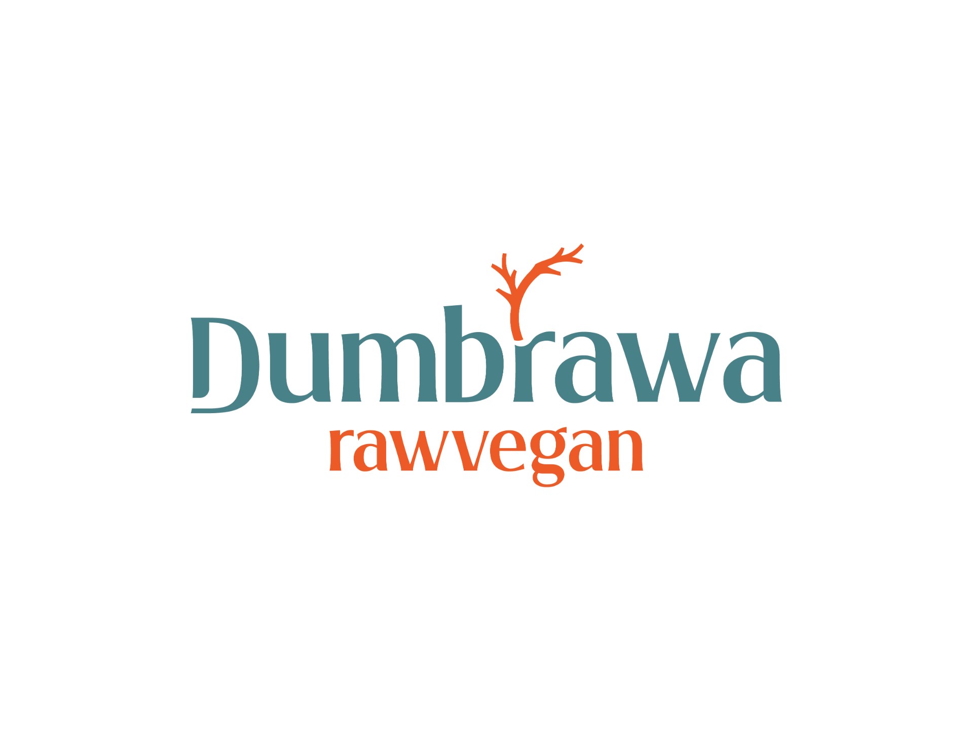 dumbrawa raw vegan portofoliu inoveo